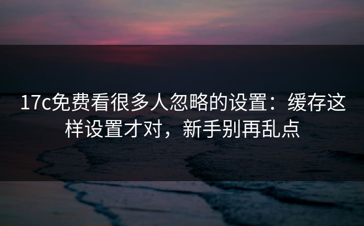17c免费看很多人忽略的设置：缓存这样设置才对，新手别再乱点